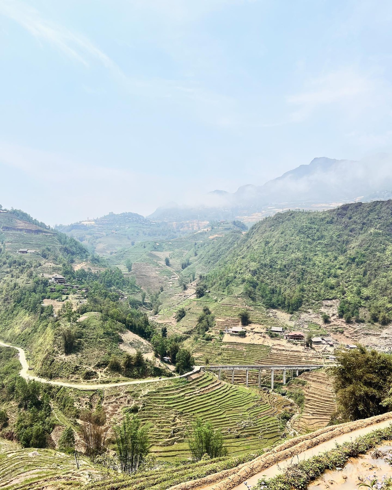 Terrazas de arroz en un valle verde del norte de Vietnam